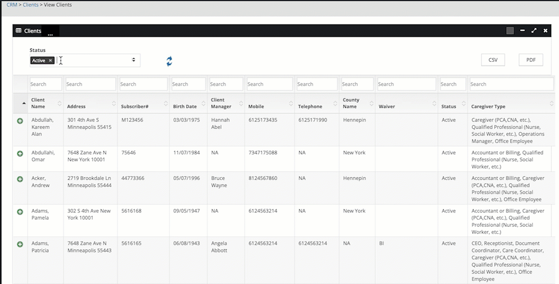 View Client